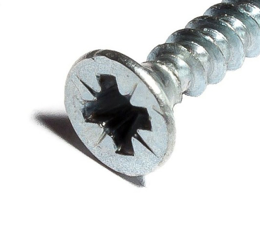 Half round screw, torx