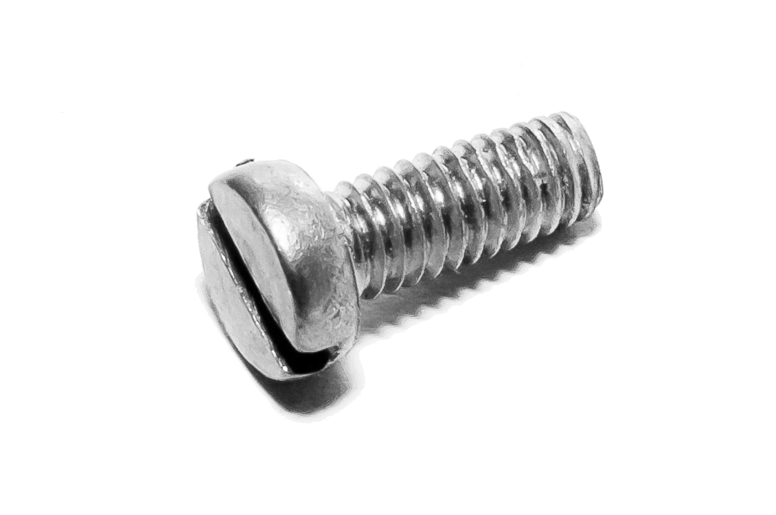 Half round screw, torx